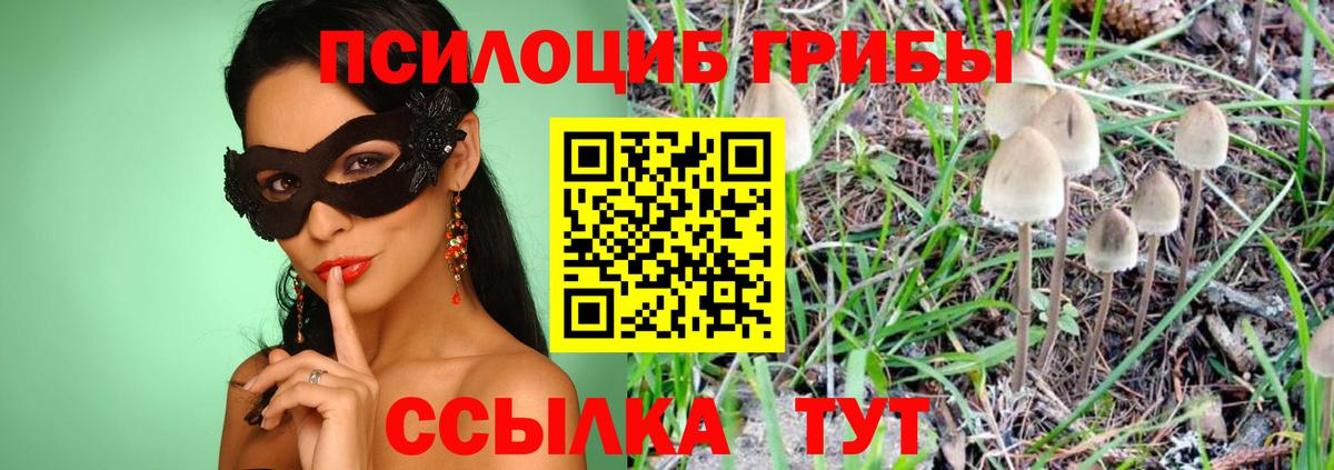Псилоцибиновые грибы Psilocybe  Галлюциногенные грибы мухоморы  Вход с VPN  Щёкино 